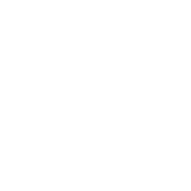 Instagram de BPS